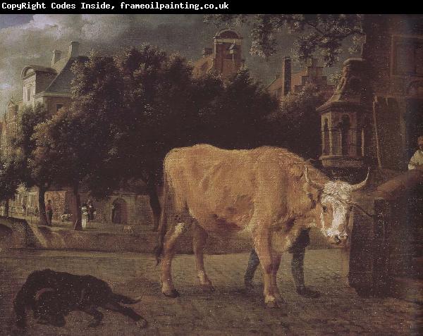 Jan van der Heyden Square cattle